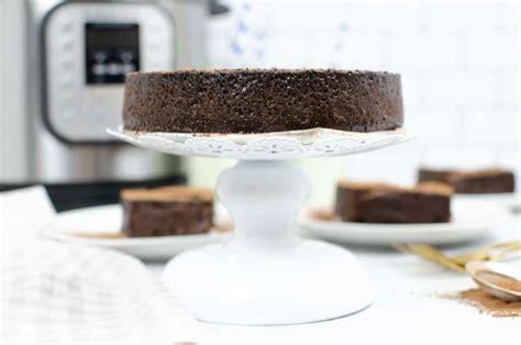 Instant Pot Flourless Chocolate Cake • Foodnservice