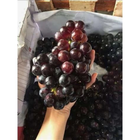 Jual BUAH ANGGUR BALI SUPER GRADE A MANIS SEGAR HARGA PER KILO 1 KG