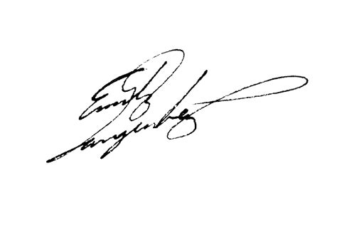 Emily Rose Height Weight Measurements Bra Size Bio Pilot Paisley Rose