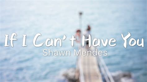 Shawn Mendes If I Cant Have You Lyrics Youtube