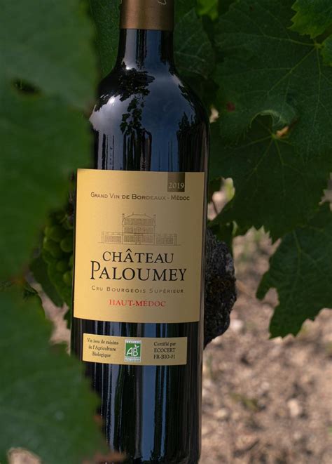 Vang đỏ Chateau Paloumey Cru Bourgeois Superieur