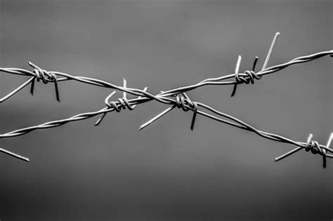 Premium Photo Close Up Of Barbed Wire Against Sky