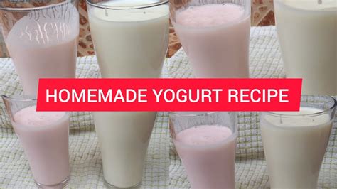 How To Make Yogurt At Home Without A Machine Homemade Yogurt Recipe