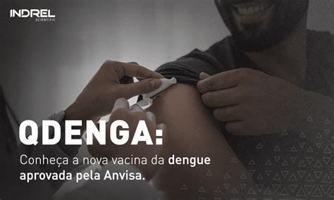 Qdenga Conhe A A Nova Vacina Da Dengue Aprovada Pela Anvisa