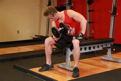 Концентрированный подъем на бицепс: техника | MuscleFit