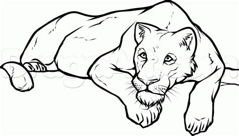 Lioness Coloring Pages