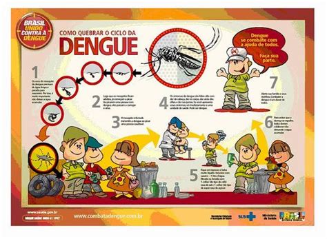 EportuguÊse Informações Sobre O Dengue