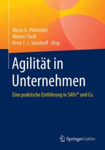 Business Agilität Kontinuierliche Innovation durch Lean und Agile