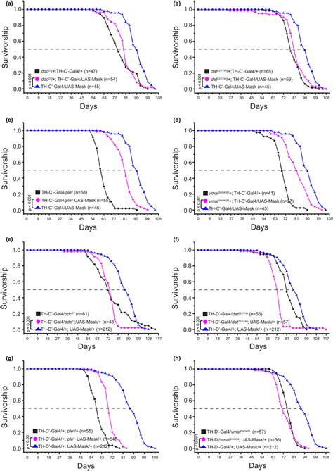 Reducing Dopamine Pathway Activity Blunts The Lifespan Extension