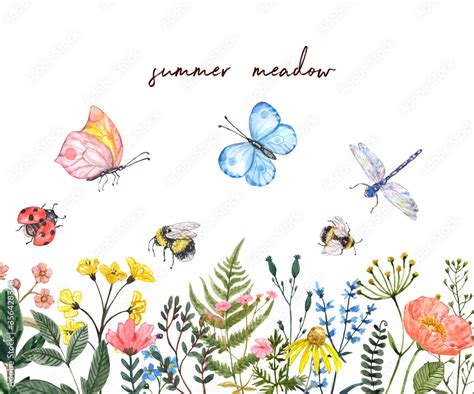 Watercolor Summer Meadow Illustration Wildflowers Border Bright