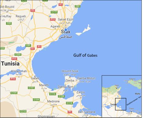 The Gulf of Gabès The major landing area of sharks and rays in Tunisia