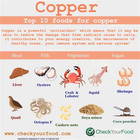 Top 10 Foods For Copper