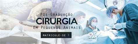 Curso De P S Gradua O De Cirurgia Em Pequenos Animais Matricule Se