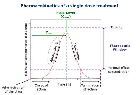 Diagram Of Clinical Pharmacokinetics Quizlet