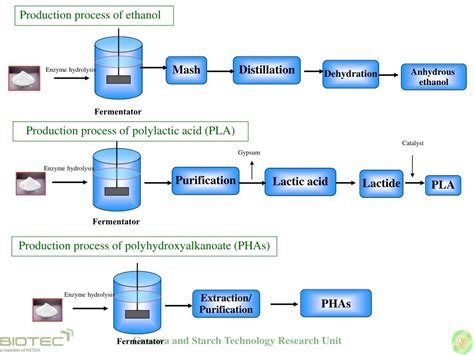 Ppt Promise Of Cassava In Biorefinery Powerpoint Presentation Free