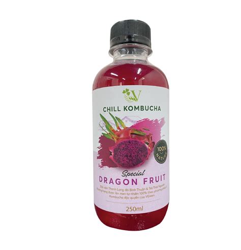 Chill Kombucha Dragon Fruits 250ml