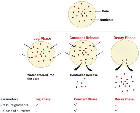 phase controlled release mechanism  biopolymer based