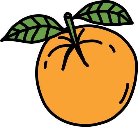 Doodle Freehand Sketch Drawing Of Orange Fruit 11192286 PNG