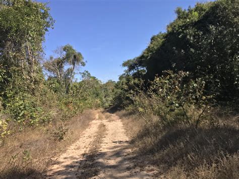 Fazenda A Venda Em Mato Grosso Fazendas Mato Grosso