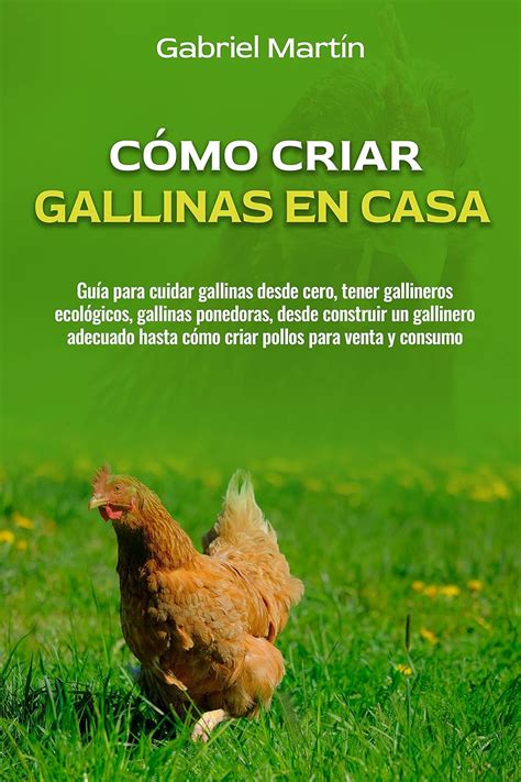 Cómo Criar Gallinas En Casa Guía Para Cuidar Gallinas Desde Cero Tener Gallineros