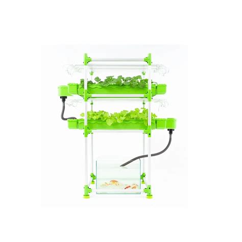 Indoor Automatic Hydroponic Fish And Vegetable Farming System Large