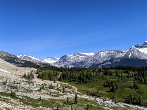 Hiking The Iceline Trail Yoho National Park Complete Guide