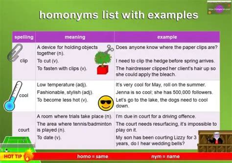 Homonyms Meaning And Examples Mingle Ish