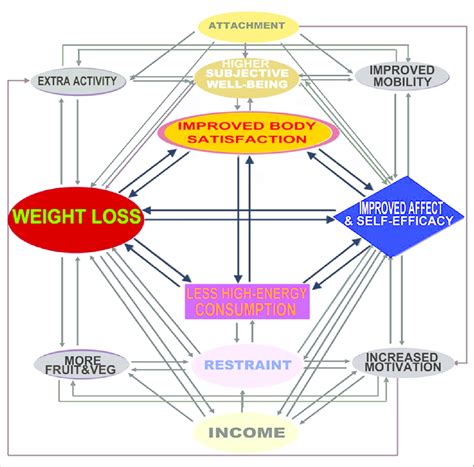 Treatment And Prevention Of Obesity As A Restoration Of Homeostasis