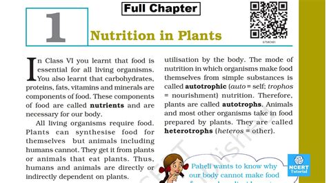 Nutrition In Plants Class Science Chapter Full Chapter Youtube