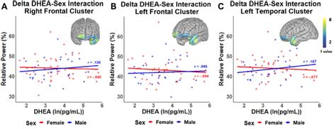 Interaction Effect Of Dhea And Sex Scatter Plots Display The