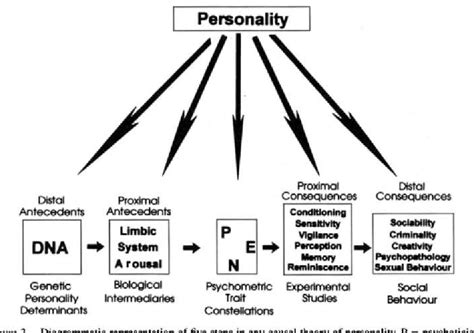 Figure 1 From Personality Processes And Individual Differences Personality And Experimental