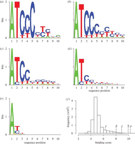 Sequence Logos Indicating Information Content A Measure Of Statistical