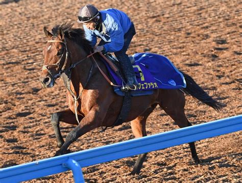 【チャンピオンズc】カフェファラオ ブリンカー実戦初装着で好反応“変身”期待 ライブドアニュース