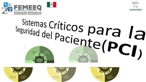 Sistemas Críticos para la Seguridad del Paciente Prevención y Control