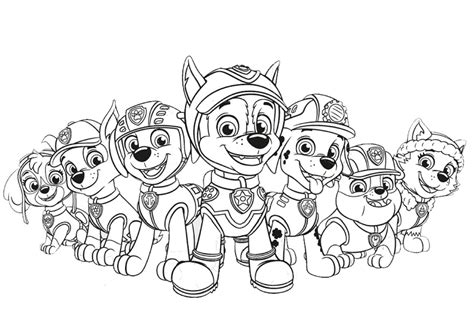 Disegni Da Colorare Di Paw Patrol Wonder Day