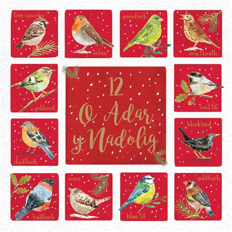 Welsh Christmas Cards | Christmas cards | RSPB Shop