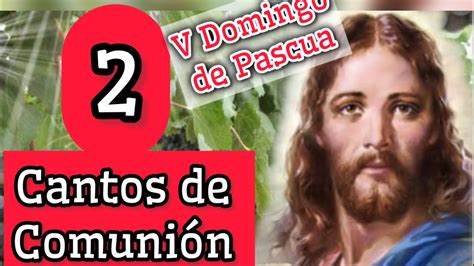 2 cantos de comunión para el V Domingo de Pascua YO SOY LA VID