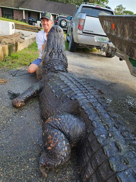 Worlds Largest Crocodile Ever Caught