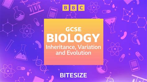 Gcse Science Podcasts Inheritance Variation And Evolution Bbc Bitesize