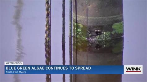 Bubble Curtain Breaks In Cape Coral Algae Invades Water Youtube