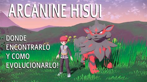 Como Evolucionar A Growlithe En Arcanine Hisui Leyendas Pok Mon