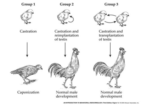 Unit Flashcards Quizlet