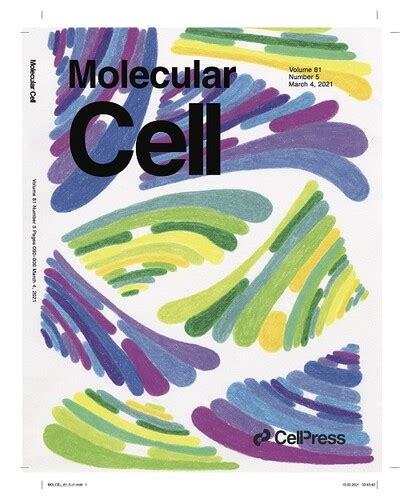 Kirsten Reimers Art Featured On Molecular Cells Cover Molecular