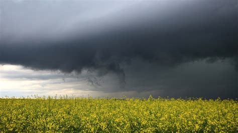 Wetter In Deutschland DWD Warnt Vor Gewitter Und Starkregen