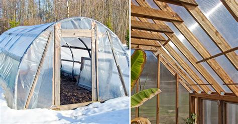 5 Different Diy Greenhouses Plans Materials And Everything You Need To