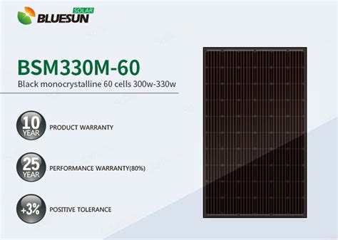 Acheter Panneau Solaire Sans Taxe Pour Entrep T Bluesun Europe