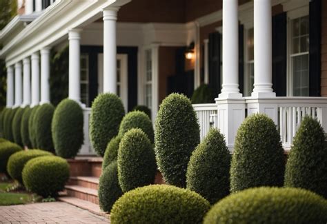 10 Shrubs Front Of House Ideas To Boost Curb Appeal Quiet Joy At Home