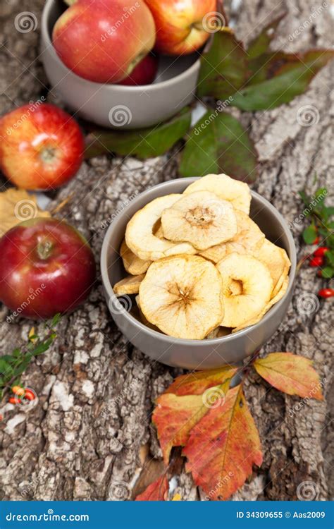 Healthy Organic Dried Apples Stock Image Image Of Autumn Fruit 34309655