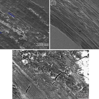 SEM Images Of Worn Surfaces Of Al Sn Composite Alloys After 30 Min Of