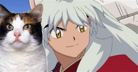 Cat Demon Inuyasha